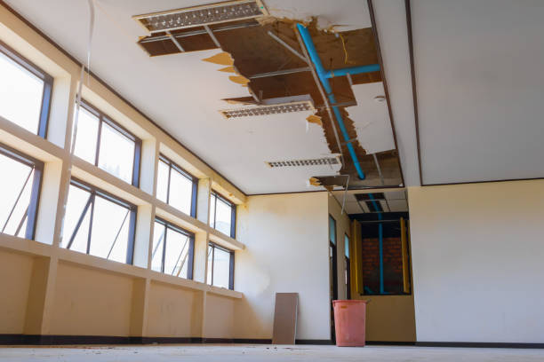 Best Residential water damage restoration  in Apex, NC