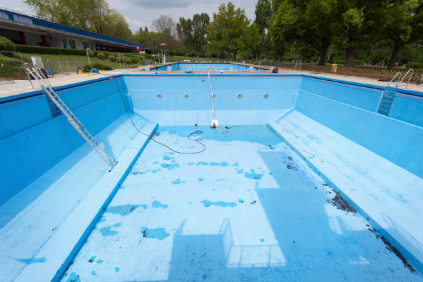Best Water damage contractors near me  in Apex, NC