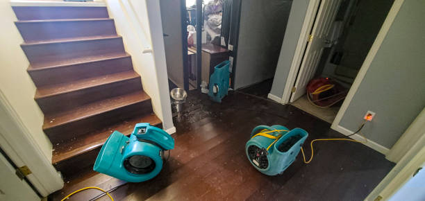 Best Water damage mitigation services  in Apex, NC