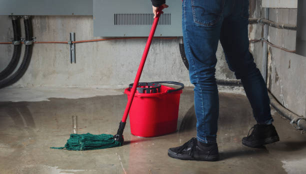 Best Local water damage restoration  in Apex, NC