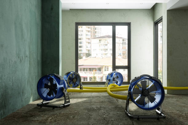 Best 24-hour water damage restoration  in Apex, NC